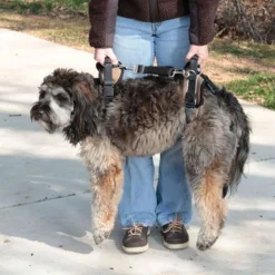 Dog lifting aid harness