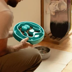 Dog Slow Feeder, Turquoise