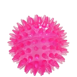 Dog Squeaker Ball Toy