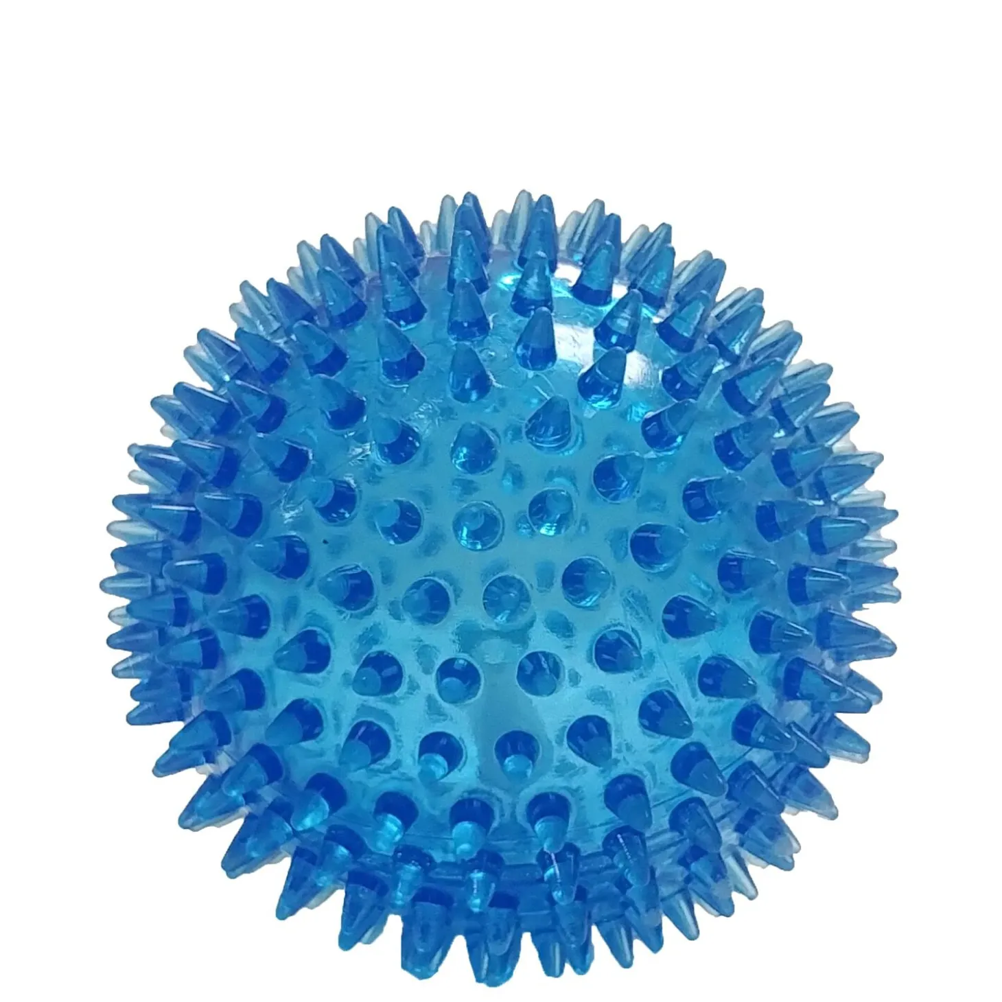 Dog Squeaker Ball Toy