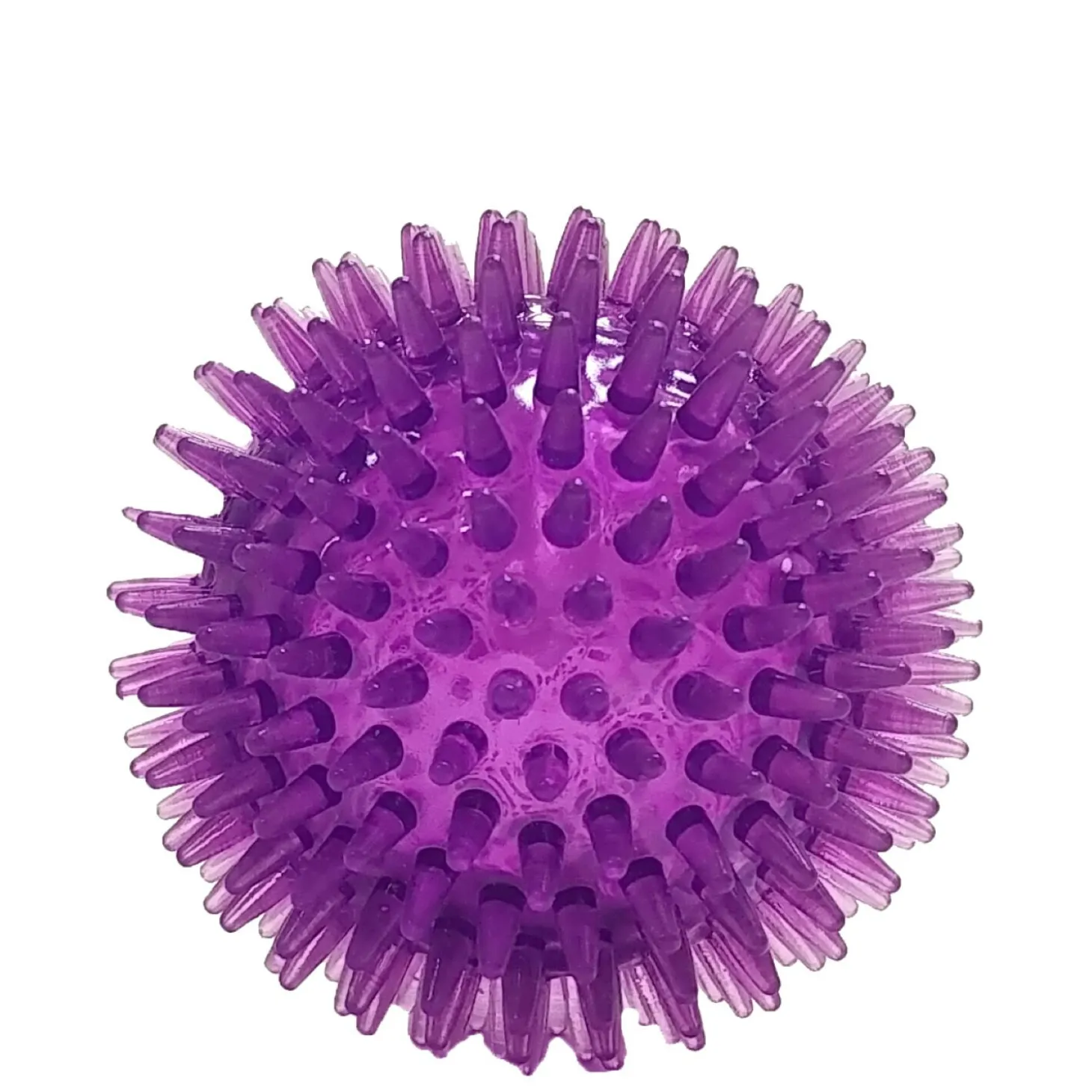 Dog Squeaker Ball Toy