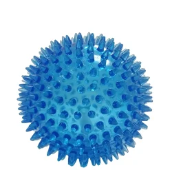 Dog Squeaker Ball Toy