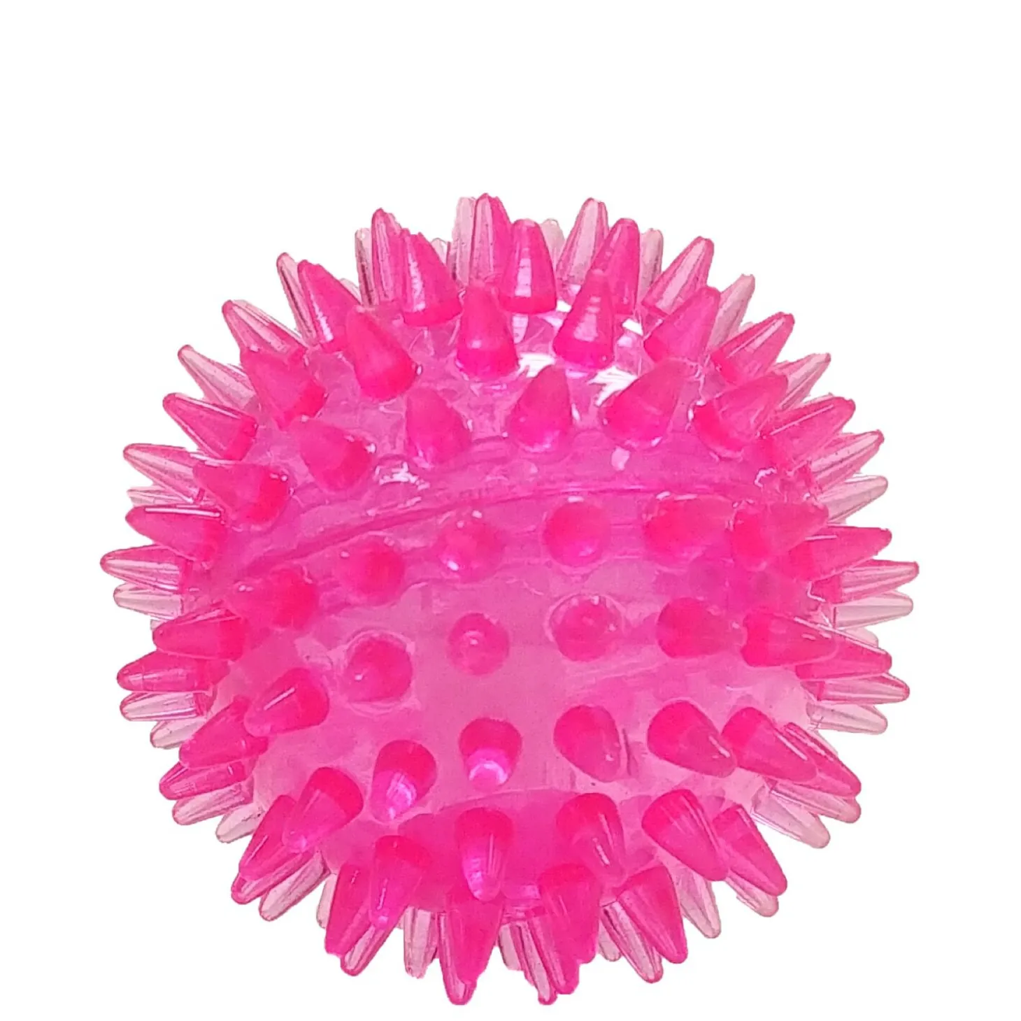 Dog Squeaker Ball Toy