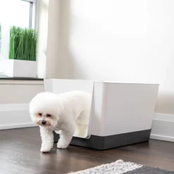 Doggy Bathroom Starter Kit, Dark Grey