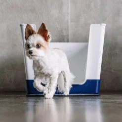 Doggy Bathroom Starter Kit, Navy Blue