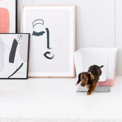 Doggy Bathroom Starter Kit, Pink