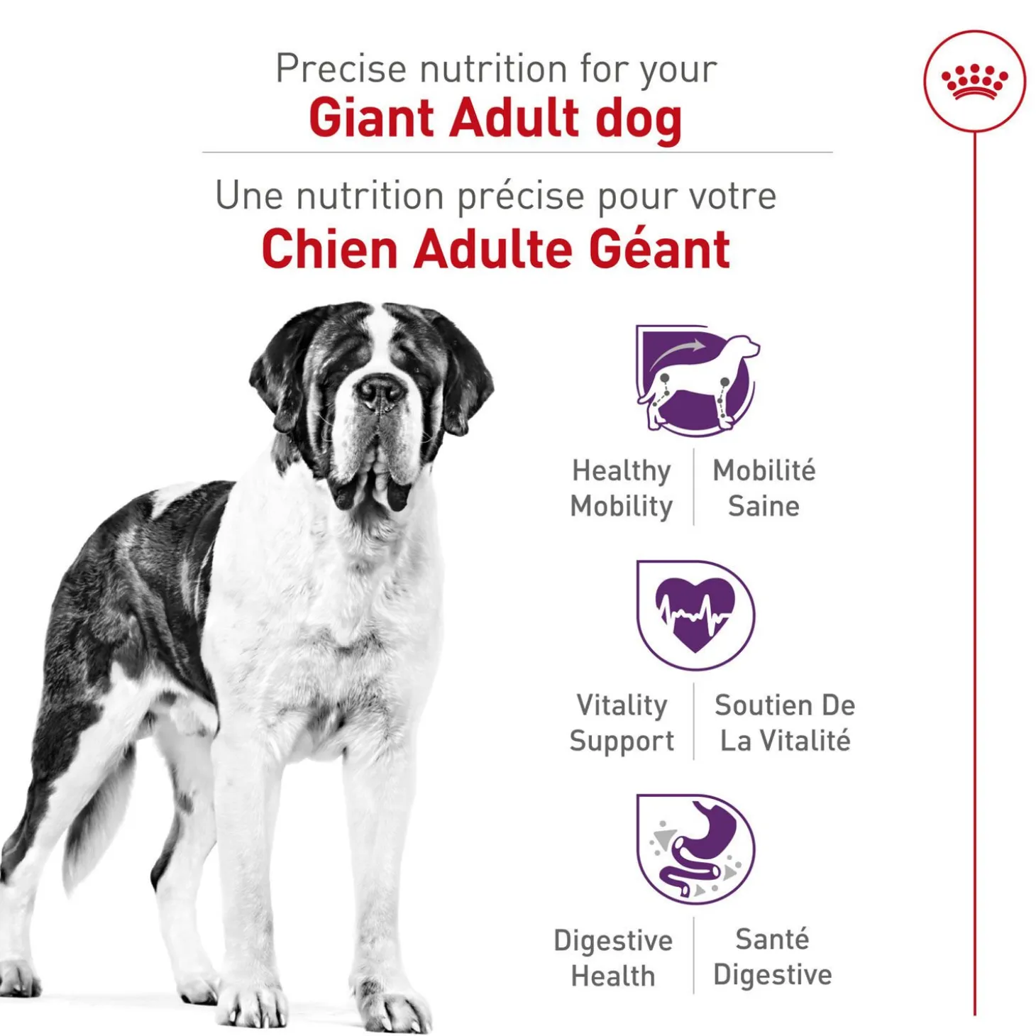 Dry Food for Giant Breed Adult Dogs