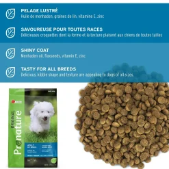 Dry food original chicken and oatmeal formula for adult dogs, 11.3kg