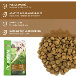 Dry food original chicken and oatmeal formula for adult dogs from large breeds,15kg