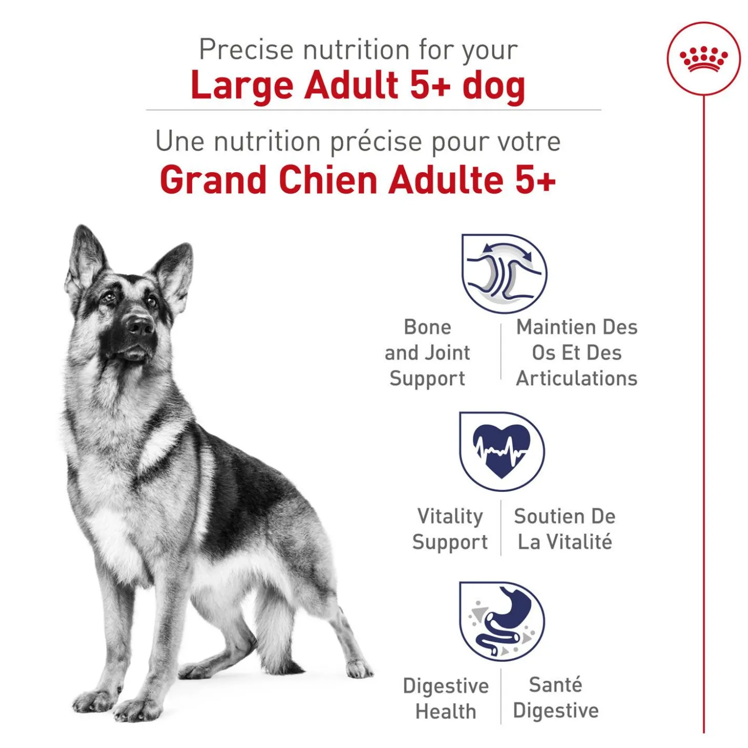 Dry Food Size Health Nutrition™ Formula for Large Adult 5+ Dogs