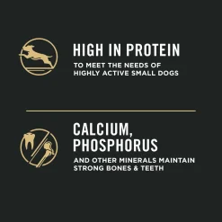 Dry Food Specialized Small Breed Shredded Blend Chicken & Rice Formula for Dogs, 2.72 kg