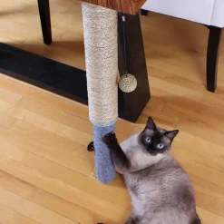 Dual surface scratch pole, seagrass & felt