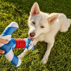 Durable Dog Toy, Anchor