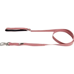 Dusty Rose Silicone Dog Leash