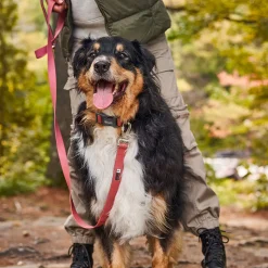 Dusty Rose Silicone Dog Leash