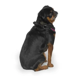 Easy-On Step-In Harness for Dogs