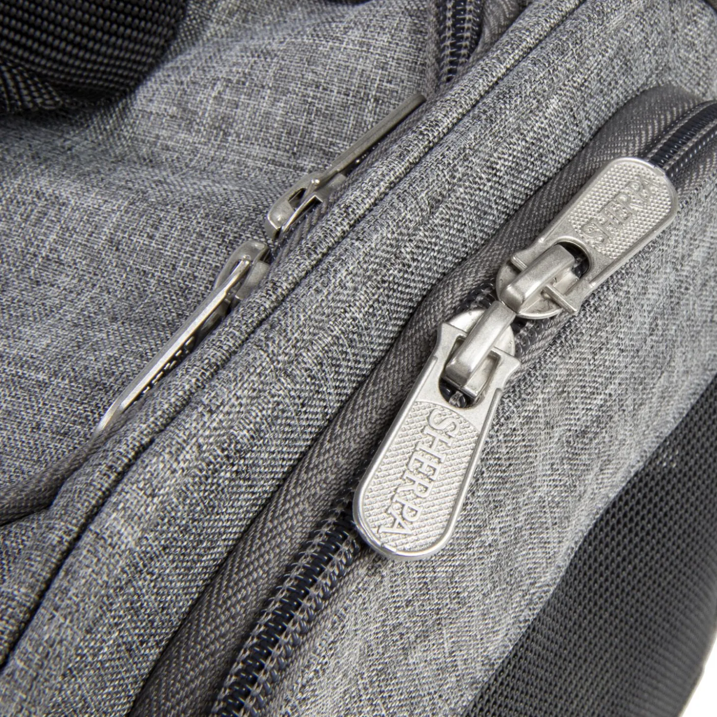 Element pet carrier