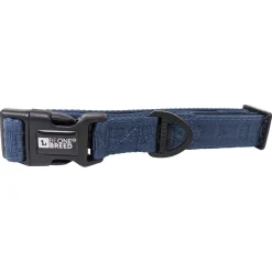 Embroidered Dog Collar, Teal