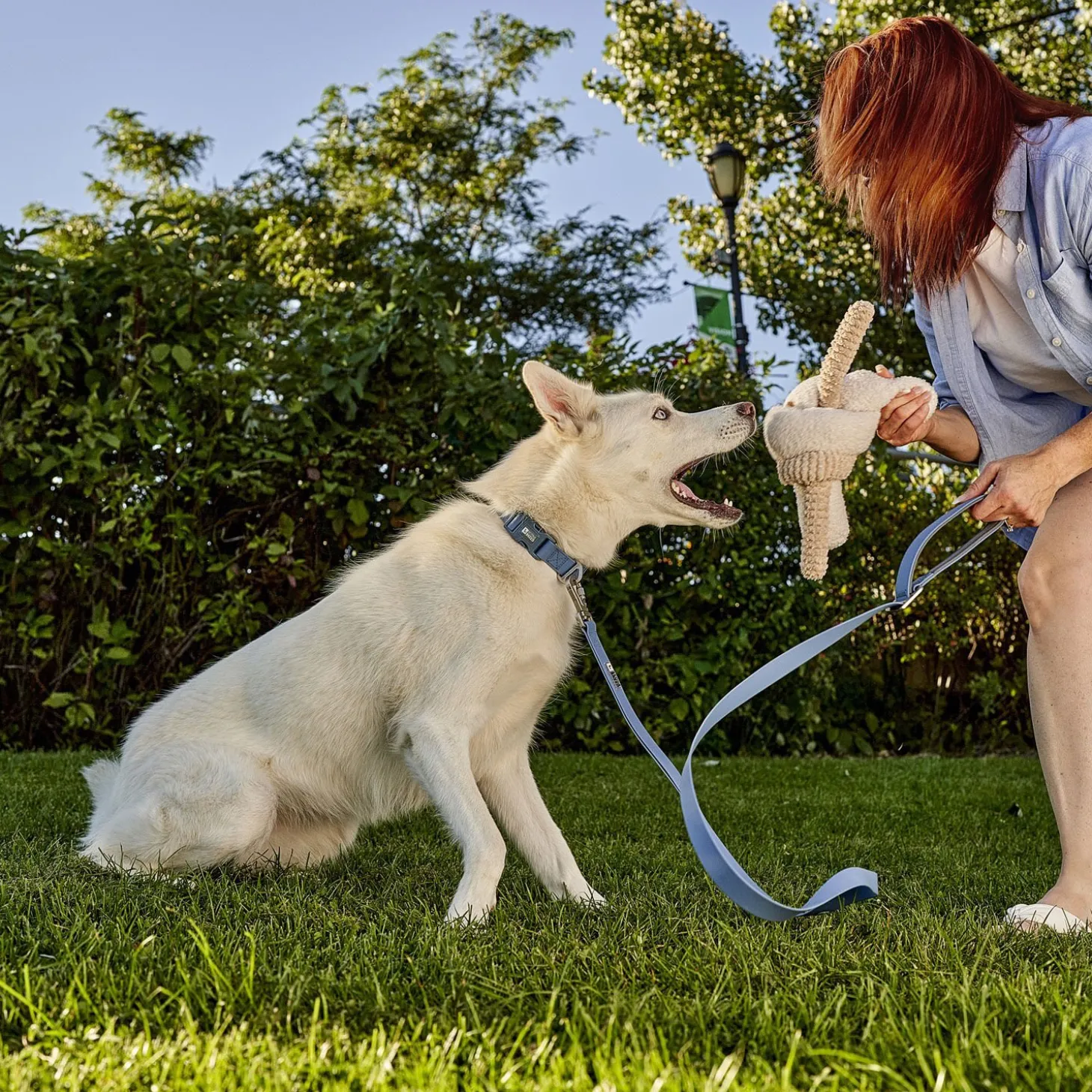 Enrichment Twisted Toy for Dogs