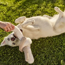 Enrichment Twisted Toy for Dogs
