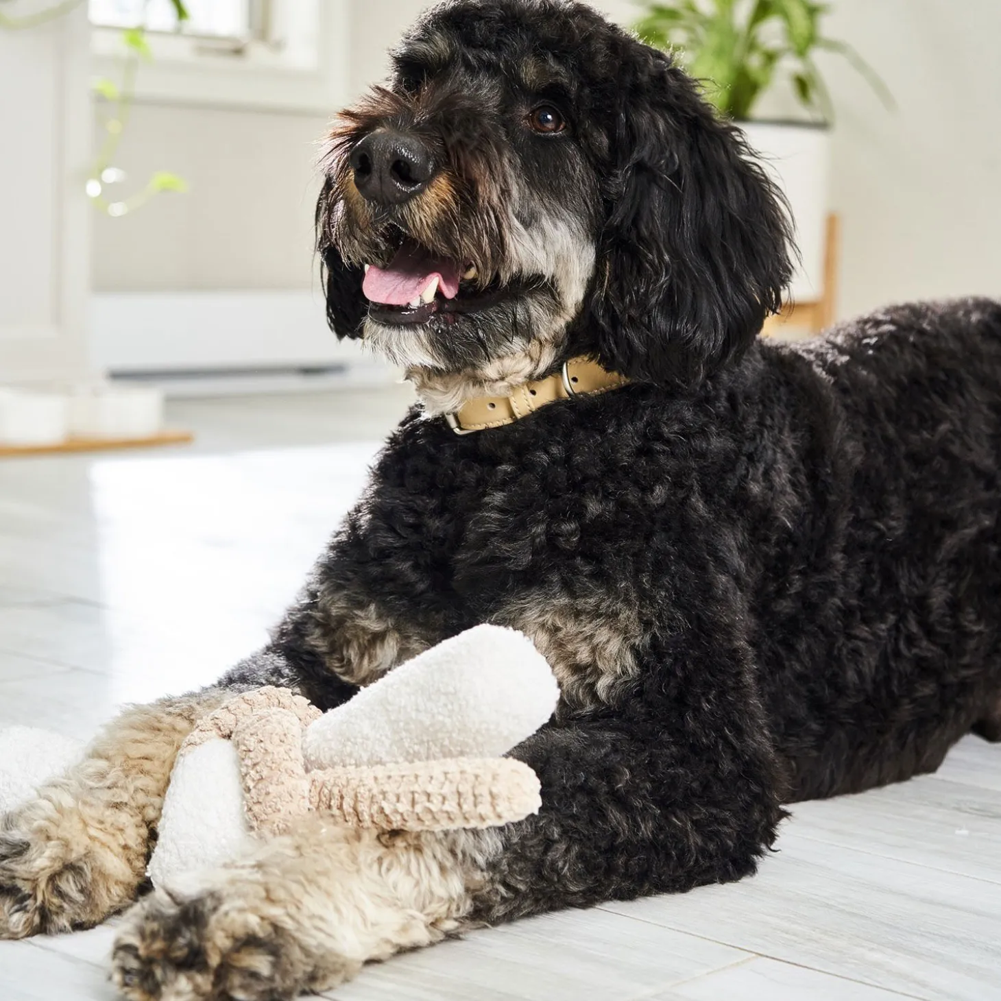 Enrichment Twisted Toy for Dogs