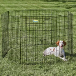 Exercise pen with door for dogs