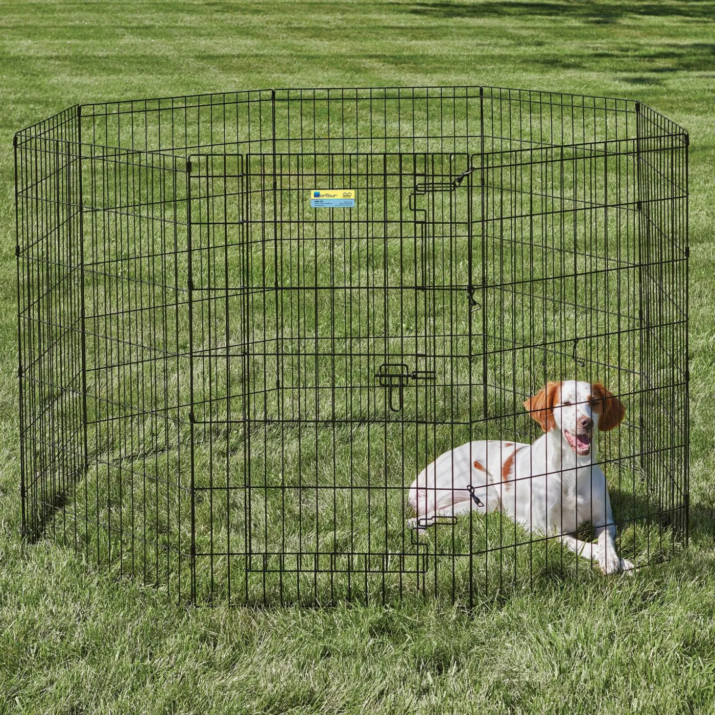 Exercise pen with door for dogs