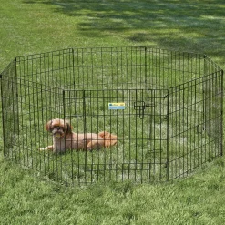Exercise pen with door for dogs