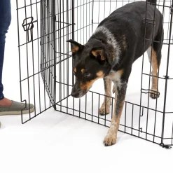 Exercise pen with door for dogs