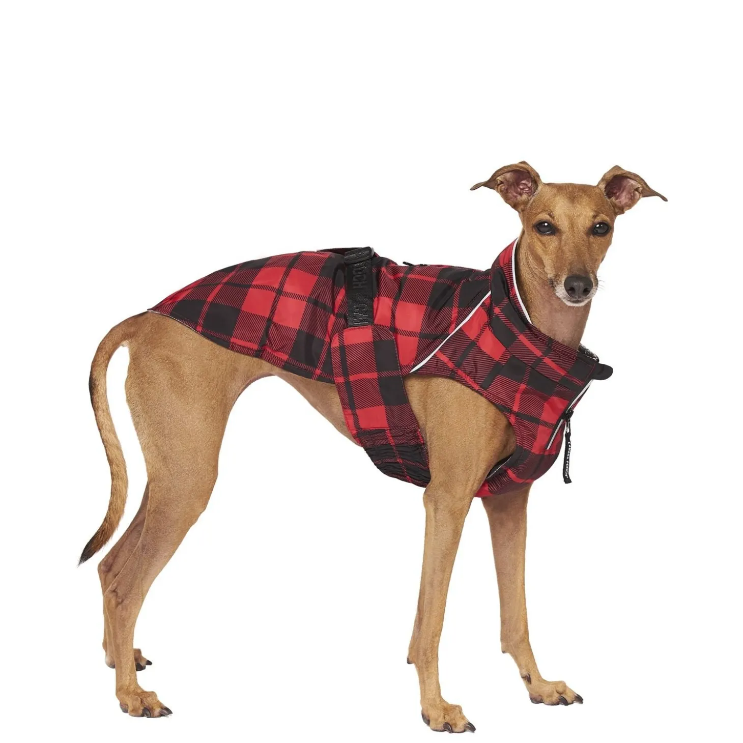 Expedition Coat 2.0, 22