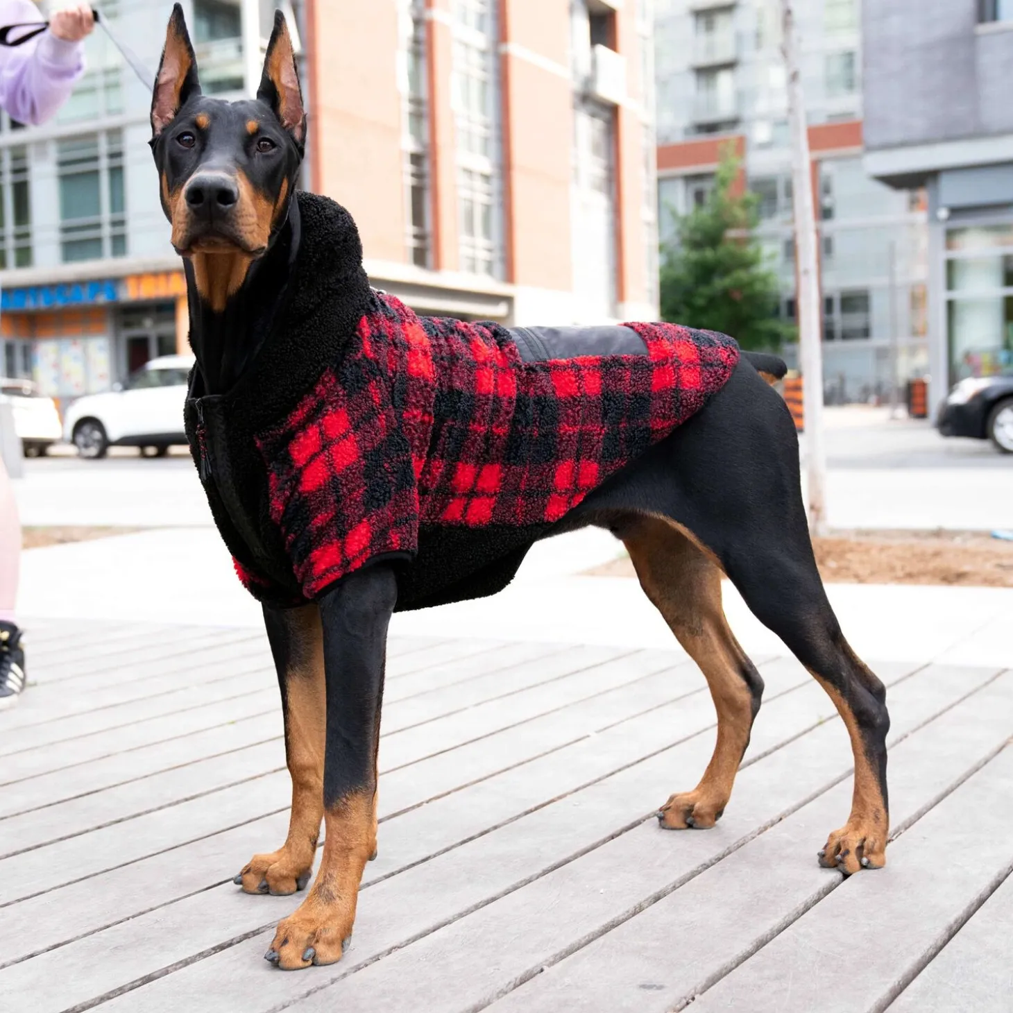 Expedition Coat 2.0, 22