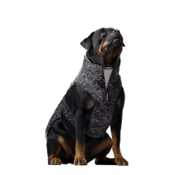 Expedition Coat 2.0, 22