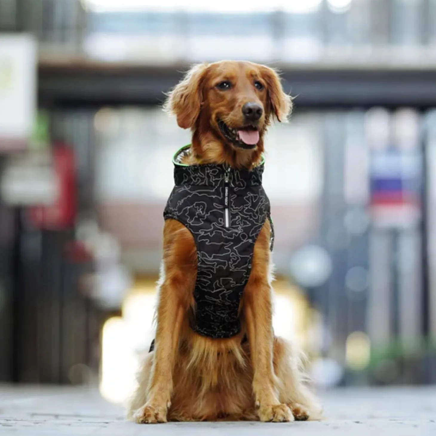 Expedition Coat 2.0, 24