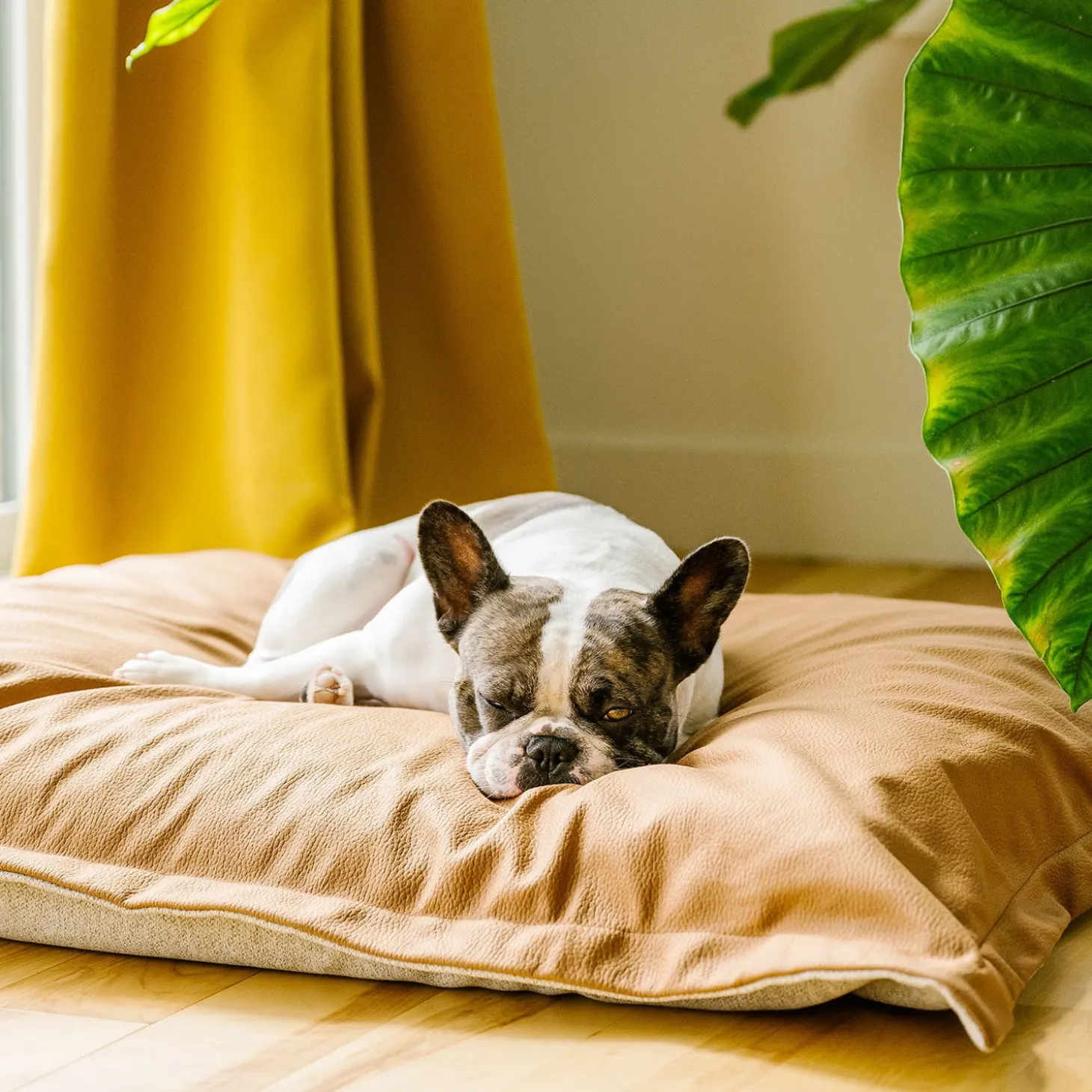 Faux Leather Cloud Pillow, Beige