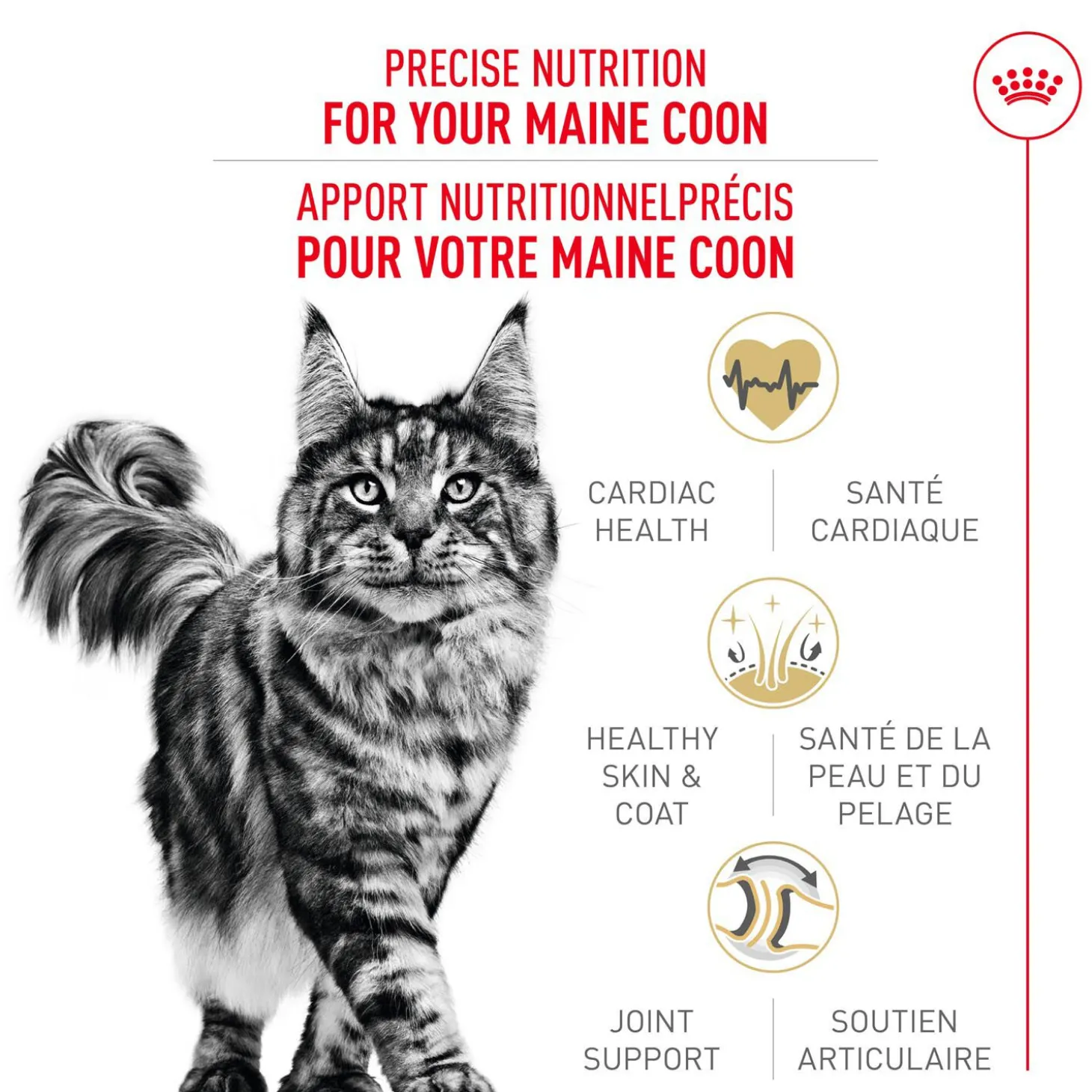 Feline Breed Nutrition™ Maine Coon Dry Cat Food