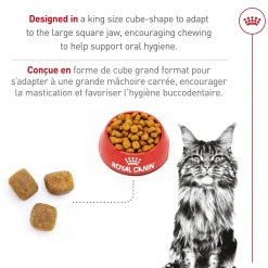 Feline Breed Nutrition™ Maine Coon Dry Cat Food
