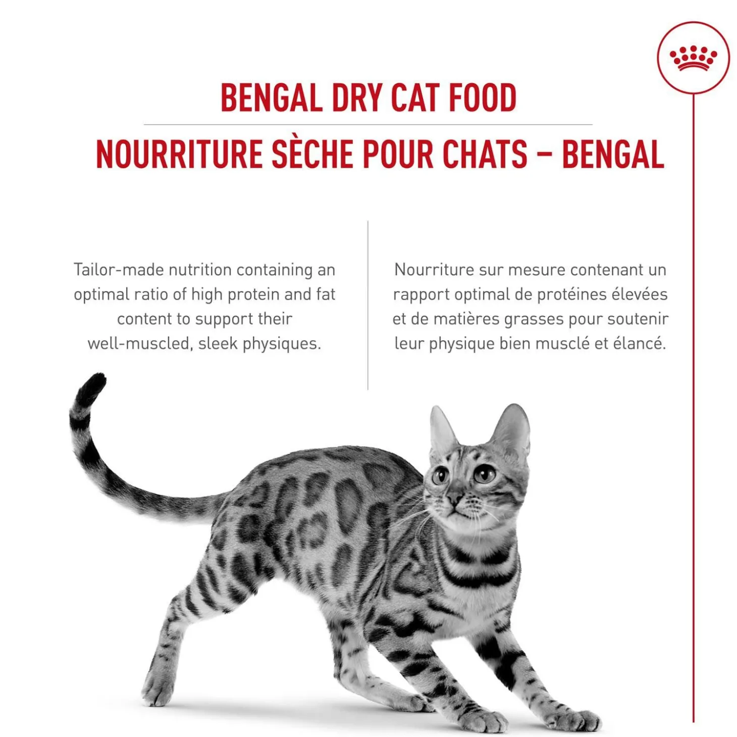 Feline Breed Nutrition™ Persian Adult Dry Cat Food