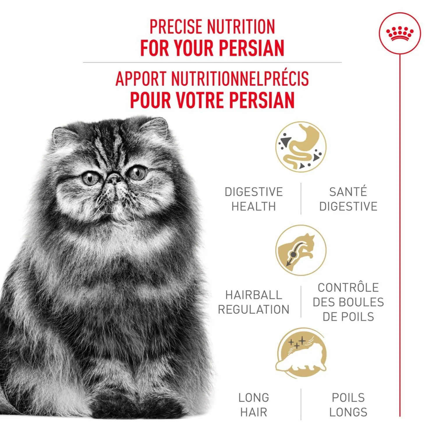Feline Breed Nutrition™ Persian Adult Dry Cat Food