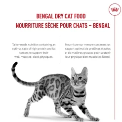 Feline Breed Nutrition™ Persian Adult Dry Cat Food