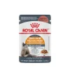 Feline Care Nutrition™ Hair & Skin Care Chunks in Gravy Pouch Cat Food