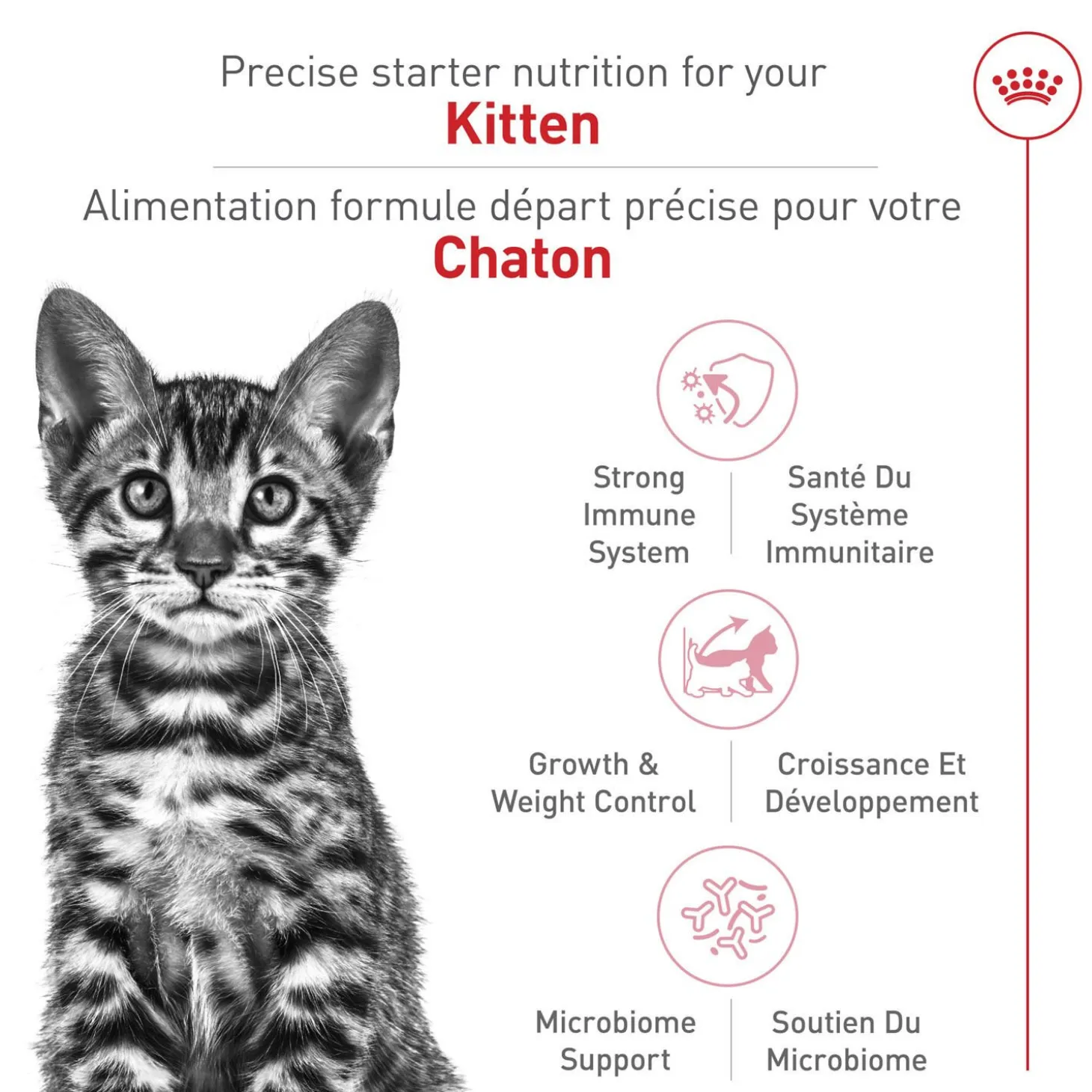 Feline Health Nutrition™ Kitten Spayed / Neutered Dry Cat Food