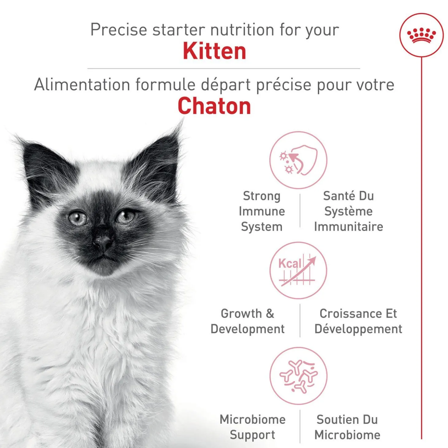 Feline Health Nutrition™ Kitten Dry Food