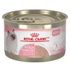 Feline Health Nutrition™ Kitten Loaf in Sauce Canned Food