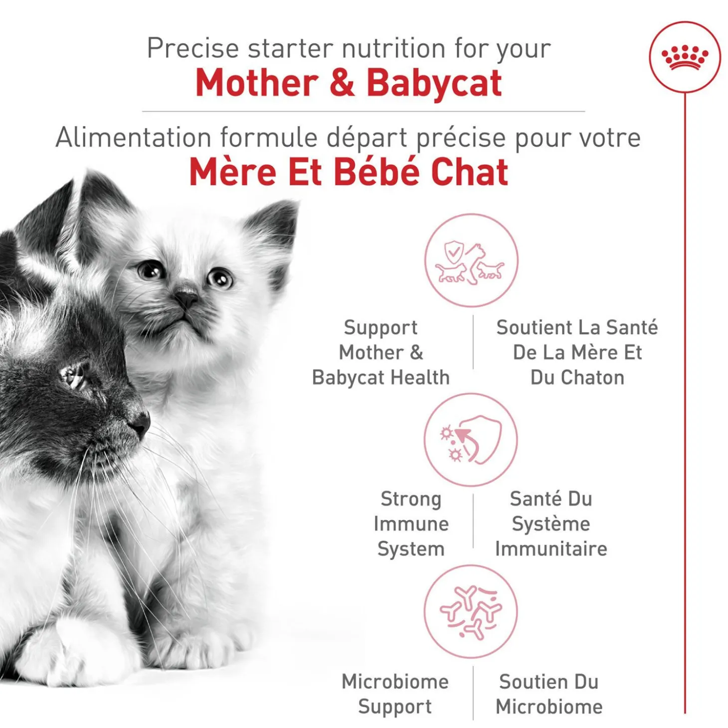 Feline Health Nutrition™ Mother & Babycat Dry Cat Food
