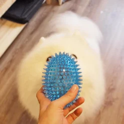 Football Spike Ball, Blue