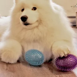 Football Spike Ball, Purple