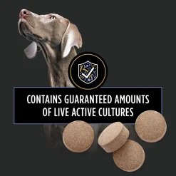 FortiFlora Canine Probiotic Tablets, 158 g