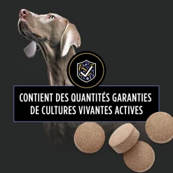 FortiFlora Canine Probiotic Tablets, 79 g