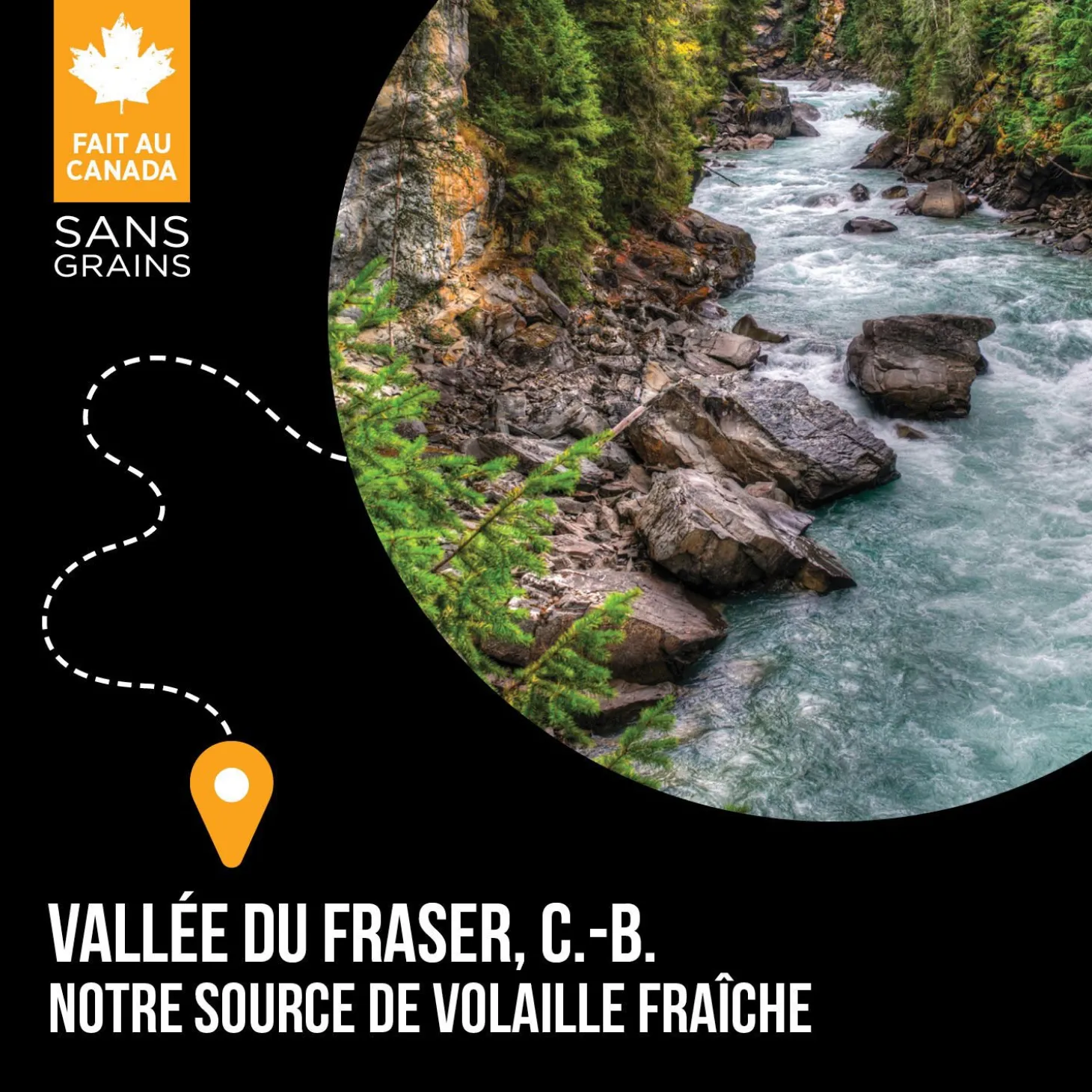 Fraser Valley Dry Food for Dogs