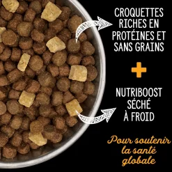 Fraser Valley Dry Food for Small Breed Dogs